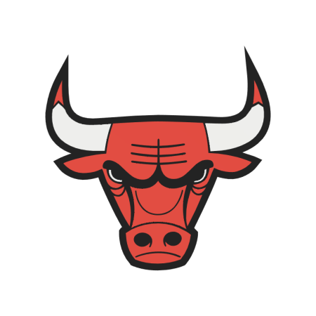 Chicago Bulls Lightbox