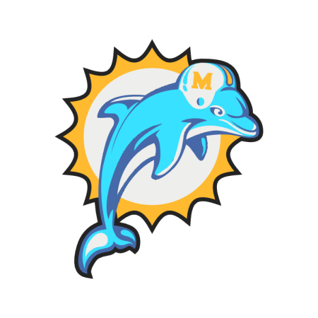Miami Dolphins Lightbox